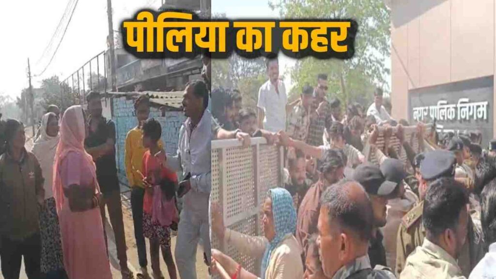 CG Breaking News : हेल्थ इमरजेंसी जैसे हालात पीलिया से दो मौतों के बाद जागा नगर निगम, पाइपलाइन की जांच शुरू