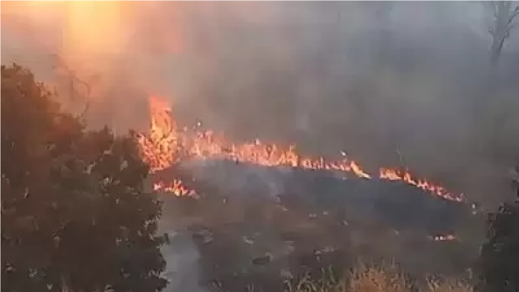 CG Breaking News : सीतानदी टाइगर रिजर्व में आग का तांडव, अंगिरा ऋषि पहाड़ी लपटों से घिरी CG Breaking News