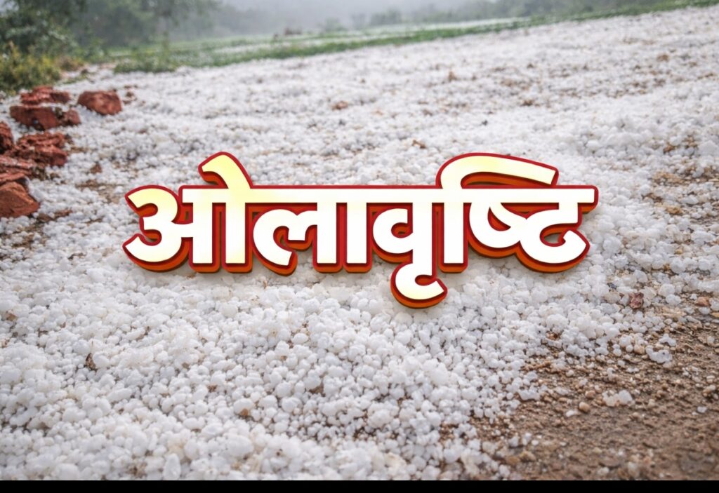 वाड्रफनगर में 20 मिनट की ओलावृष्टि, खेत और सड़कें हुईं सफेद