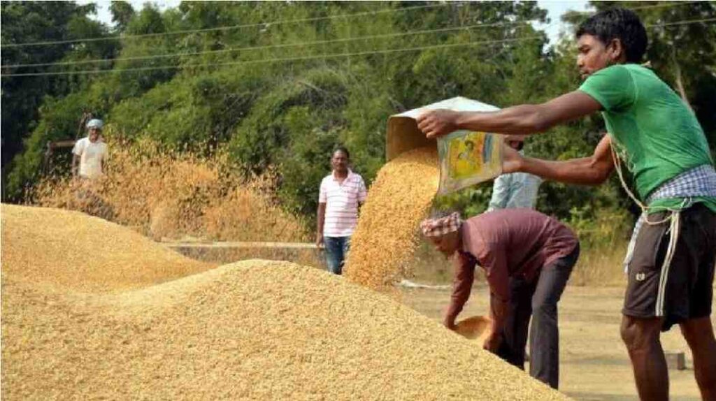 CG News : CG धान खरीदी समाप्त, 2.41 लाख किसान अभी भी धान बेचने को वंचित CG News