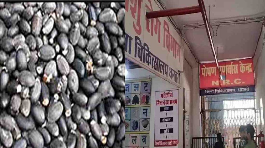 Dhamtari News Today : धमतरी ब्रेकिंग जहरीले रतनजोत के बीज खाने से बोरझरा गांव में हाहाकार, 24 बच्चे बीमार, 7 की हालत नाजुक