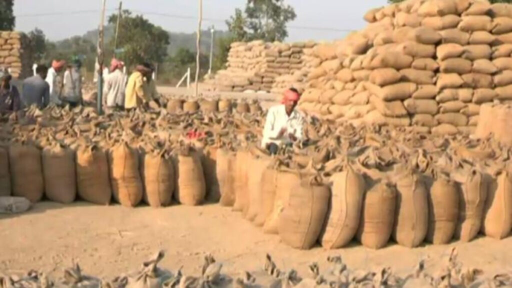 CG Purchased Paddy : महासमुंद के किसानों ने रचा इतिहास, भुगतान में प्रदेश में नंबर-1; देखें टॉप-10 जिलों की लिस्ट