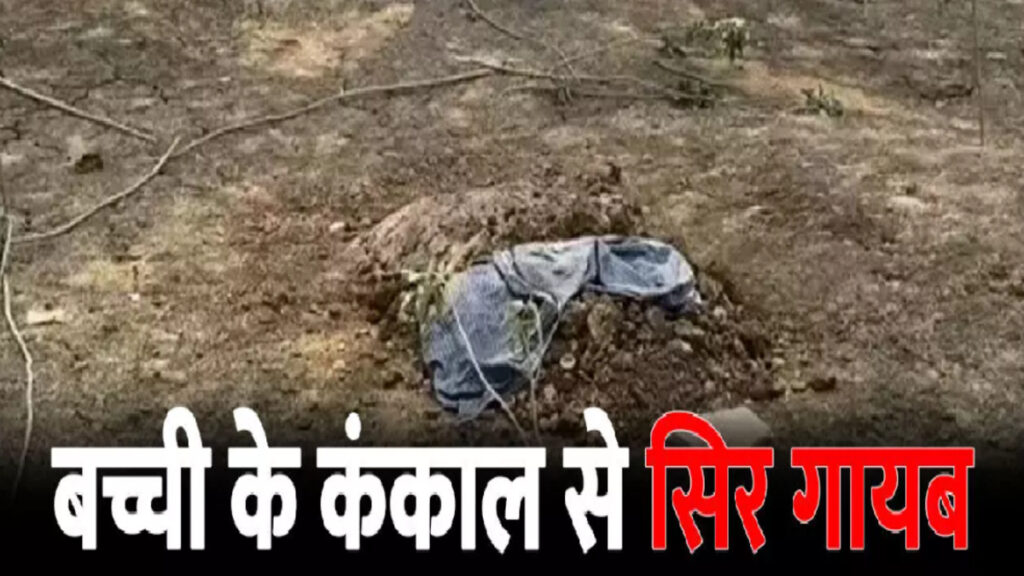 CG BREAKING : तंत्र-मंत्र के खौफनाक खेल से दहला गुंडरदेही मासूम के कंकाल से सिर गायब, पुलिस ने शुरू की तलाश”