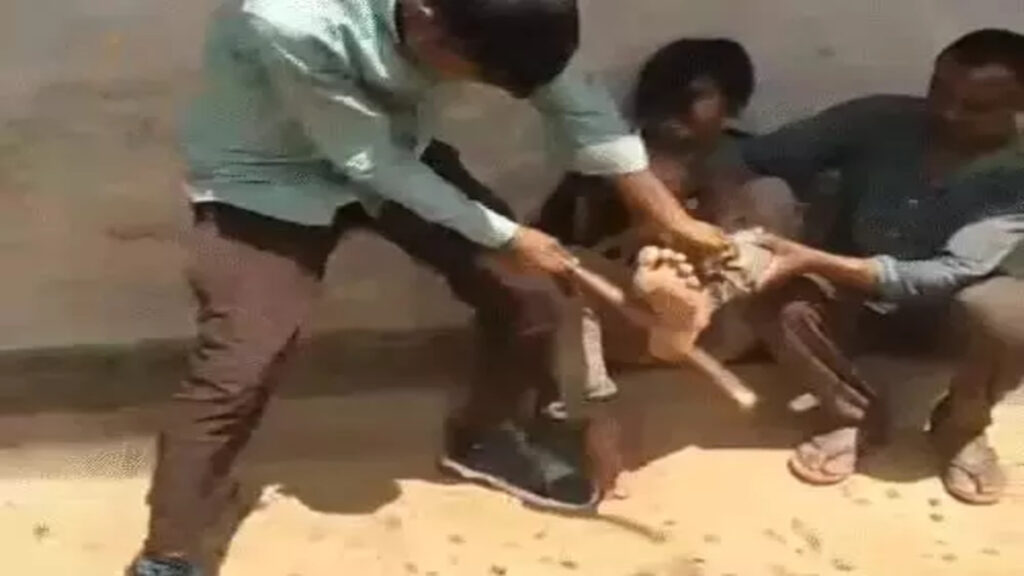 CG NEWS : चोरी के शक में हैवानियत की हदें पार, युवक को बेरहमी से पीटा’ कानून हाथ में लेने वाली भीड़ पर उठे सवाल