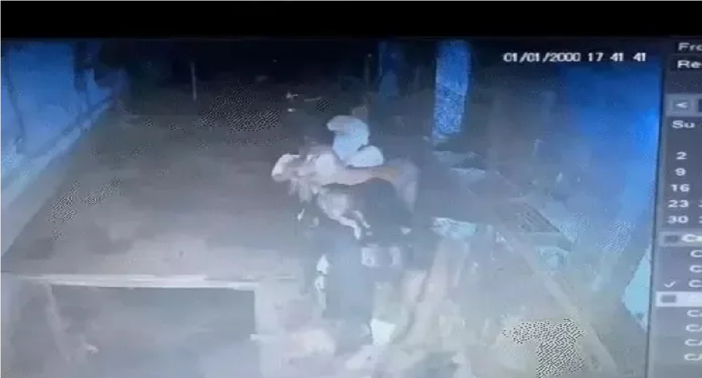 Chhattisgarh Crime News : ‘सेंधमार’ गैंग का आतंक कोठे की दीवार में छेद कर 37 बकरे पार, CCTV में कैद हुआ लाइव चोरी का वीडियो Chhattisgarh Crime News