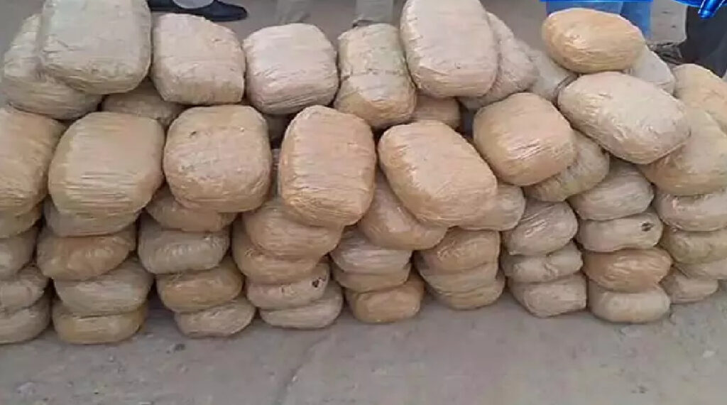 Ganja Smuggling : नशे के खिलाफ जीरो टॉलरेंस , एसपी के निर्देश पर बड़ी कार्रवाई, तस्करी में इस्तेमाल वाहन समेत 56 लाख का माल बरामद Ganja Smuggling
