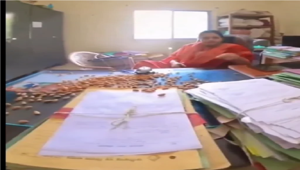 Chhattisgarh News : सिस्टम की ‘याददाश्त’ का अनोखा इलाज , फाइल गायब हुई तो अधिकारी की मेज पर बिखेरे बादाम Chhattisgarh News