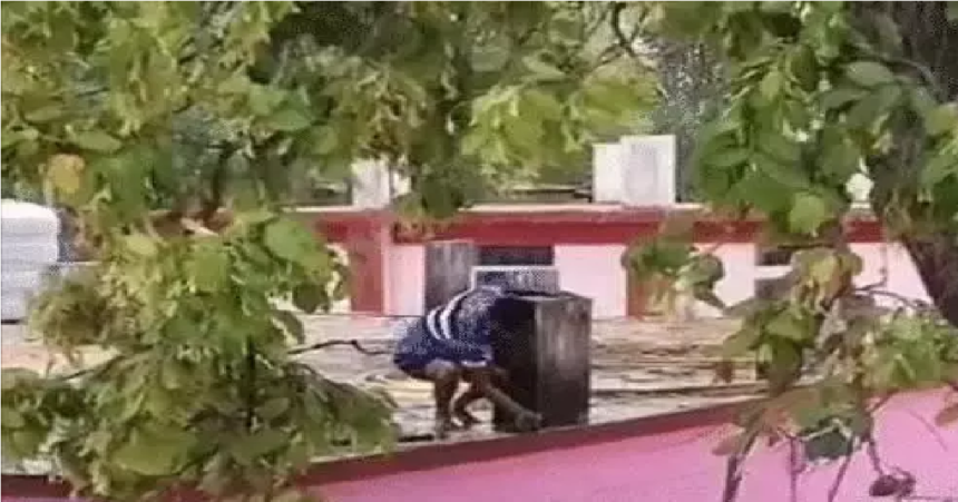 Chhattisgarh VIP Culture News