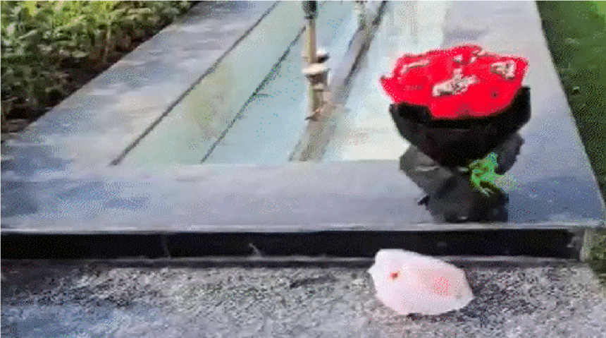 Assembly Gate No 2 Incident