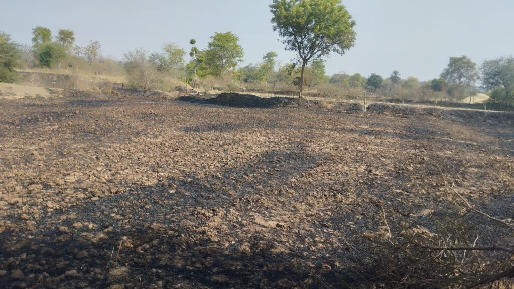 उमरिया में नरवाई की आग ने मचाया हड़कंप, दर्जनों खेत जलकर खाक — फायर ब्रिगेड की कमी पर उठे सवाल