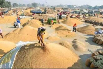 Chhattisgarh Dhan Kharidi Scam 2026