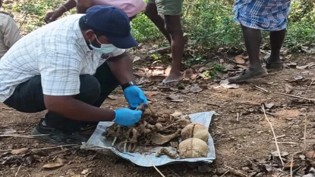 CG NEWS : नाले की मिट्टी में दफन मिला 6 साल पुराना खौफनाक राज’ प्रेमी जोड़े के नरकंकाल मिलने से सनसनी
