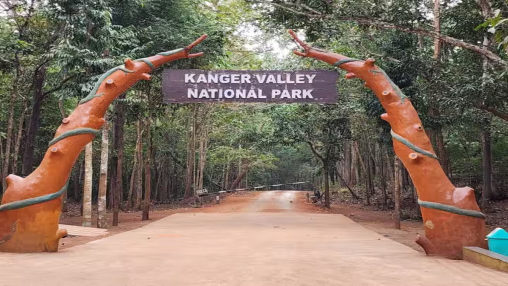 CG NEWS : मानसून का असर’ कांगेर घाटी राष्ट्रीय उद्यान और कोटमसर गुफा 1 अक्टूबर तक पर्यटकों के लिए बंद
