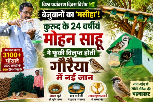 विश्व पर्यावरण दिवस विशेष: बेजुबानों का ‘रक्षक’! कुरुद के 25 वर्षीय मोहन ने फूंकी विलुप्त होती गौरैया में नई जान