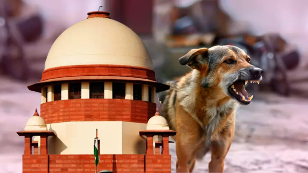 CG High Court : डॉग बाइट के बढ़ते मामलों पर हाईकोर्ट सख्त, कहा- सिर्फ योजनाएं नहीं, लगातार निगरानी और प्रभावी अमल भी जरूरी